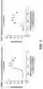 Fig. 07 - Anti-CD47 antibodies and uses thereof