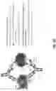 Fig. 05 - Trispecific binding proteins, methods, and uses thereof