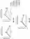 Fig. 20 - Trispecific binding proteins, methods, and uses thereof