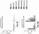 Fig. 28 - Trispecific binding proteins, methods, and uses thereof