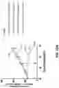 Fig. 32 - Trispecific binding proteins, methods, and uses thereof
