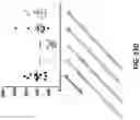Fig. 35 - Trispecific binding proteins, methods, and uses thereof