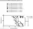 Fig. 06 - Use of bispecific antigen-binding molecules that bind MUC16 and CD3 in combination with 4-1BB co-stimulation