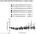 Fig. 07 - Use of bispecific antigen-binding molecules that bind MUC16 and CD3 in combination with 4-1BB co-stimulation