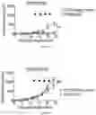 Fig. 08 - USE OF BISPECIFIC ANTIGEN-BINDING MOLECULES THAT BIND PSMA AND CD3 IN COMBINATION WITH 4-1BB CO-STIMULATION