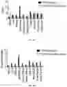 Fig. 09 - USE OF BISPECIFIC ANTIGEN-BINDING MOLECULES THAT BIND PSMA AND CD3 IN COMBINATION WITH 4-1BB CO-STIMULATION