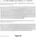 Fig. 22 - FUSION IMMUNOMODULATORY PROTEINS AND METHODS FOR MAKING SAME