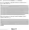 Fig. 35 - FUSION IMMUNOMODULATORY PROTEINS AND METHODS FOR MAKING SAME