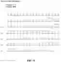 Fig. 16 - Antibodies against OX-40 and uses thereof