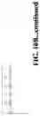 Fig. 27 - Antibodies against OX-40 and uses thereof