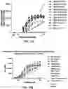 Fig. 30 - Antibodies against OX-40 and uses thereof