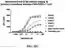 Fig. 31 - Antibodies against OX-40 and uses thereof
