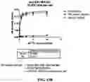 Fig. 33 - Antibodies against OX-40 and uses thereof