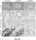 Fig. 35 - Antibodies against OX-40 and uses thereof
