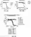 Fig. 41 - Antibodies against OX-40 and uses thereof