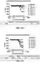 Fig. 42 - Antibodies against OX-40 and uses thereof