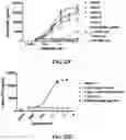 Fig. 53 - Antibodies against OX-40 and uses thereof