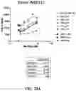 Fig. 54 - Antibodies against OX-40 and uses thereof