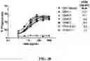 Fig. 62 - Antibodies against OX-40 and uses thereof