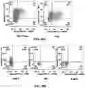 Fig. 64 - Antibodies against OX-40 and uses thereof