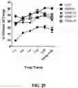 Fig. 67 - Antibodies against OX-40 and uses thereof