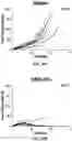 Fig. 75 - Antibodies against OX-40 and uses thereof