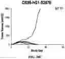 Fig. 76 - Antibodies against OX-40 and uses thereof
