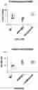 Fig. 78 - Antibodies against OX-40 and uses thereof