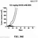 Fig. 81 - Antibodies against OX-40 and uses thereof