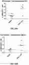 Fig. 84 - Antibodies against OX-40 and uses thereof