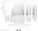 Fig. 86 - Antibodies against OX-40 and uses thereof