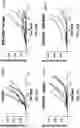 Fig. 87 - Antibodies against OX-40 and uses thereof