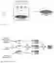 Fig. 02 - METHODS FOR PRODUCING LYMPHOCYTE PROGENITORS