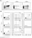 Fig. 09 - METHODS FOR PRODUCING LYMPHOCYTE PROGENITORS