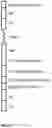 Fig. 07 - Dimeric antigen receptors
