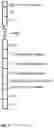 Fig. 08 - Dimeric antigen receptors