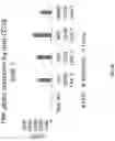 Fig. 29 - Dimeric antigen receptors