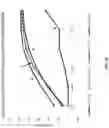 Fig. 33 - Dimeric antigen receptors