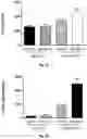 Fig. 03 - Antibodies That Bind CD39 and Uses Thereof