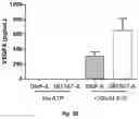 Fig. 04 - Antibodies That Bind CD39 and Uses Thereof