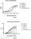 Fig. 07 - Antibodies That Bind CD39 and Uses Thereof