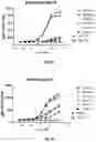 Fig. 08 - Antibodies That Bind CD39 and Uses Thereof