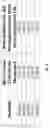 Fig. 11 - Antibodies That Bind CD39 and Uses Thereof