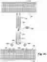 Fig. 05 - TUBULAR NANOSTRUCTURE TARGETED TO CELL MEMBRANE