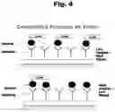 Fig. 05 - ANTIBODIES TO RISPERIDONE HAPTENS AND USE THEREOF
