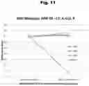 Fig. 12 - ANTIBODIES TO RISPERIDONE HAPTENS AND USE THEREOF