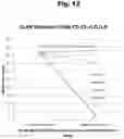Fig. 13 - ANTIBODIES TO RISPERIDONE HAPTENS AND USE THEREOF
