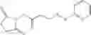 Fig. 51 - ANTIBODIES TO RISPERIDONE HAPTENS AND USE THEREOF