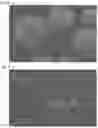 Fig. 04 - VINYL-BASED RESIN PARTICLES AND METHOD FOR MANUFACTURING SAME