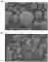 Fig. 08 - VINYL-BASED RESIN PARTICLES AND METHOD FOR MANUFACTURING SAME